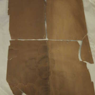 Torn torso portrait of McKinley