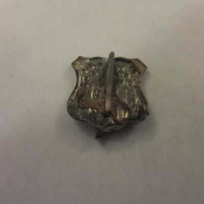 Shield and Flag Pin