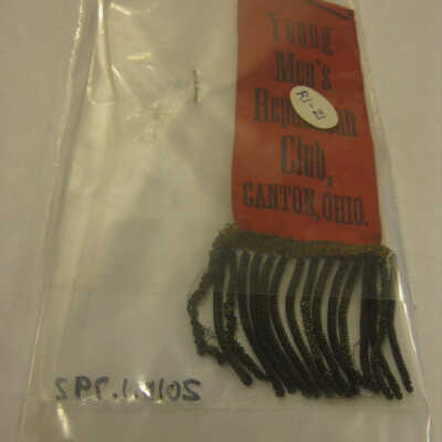 Young Men's Republican Club Ribbon