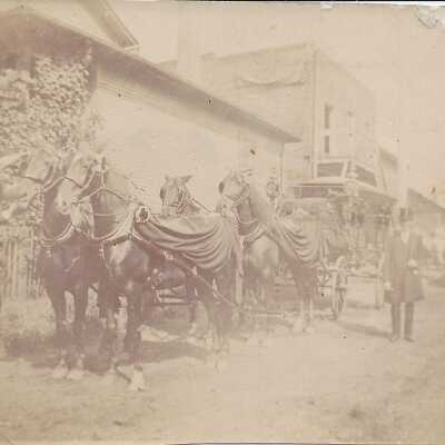 McKinley's Horse Drawn Hearse.