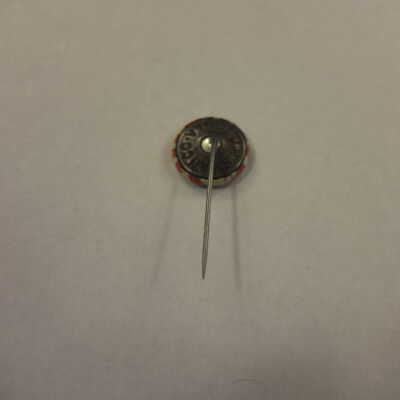 McKinley and Hobart Flag Campaign Pin