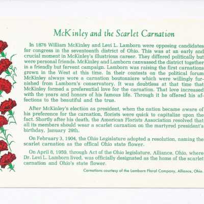 McKinley and the Scarlet Carnation