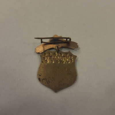 McKinley Shield