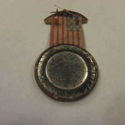 McKinley Flag Campaign Pin
