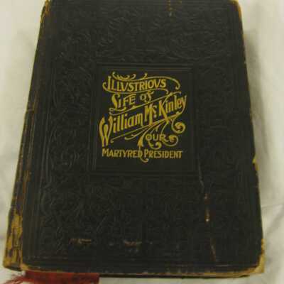 Illustrious life of William McKinley our martyred president.