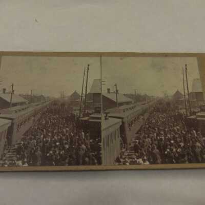 Crowds wait to see McKinley's funeral train.