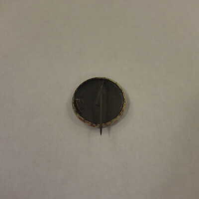 McKinley Campaign Pin