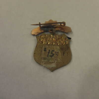 McKinley Shield