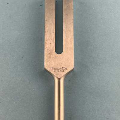 TUNING FORK -PH-25 IMG_0835