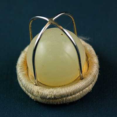 Starr Edwards Model 6100 Mitral Prosthetic Valve (23)