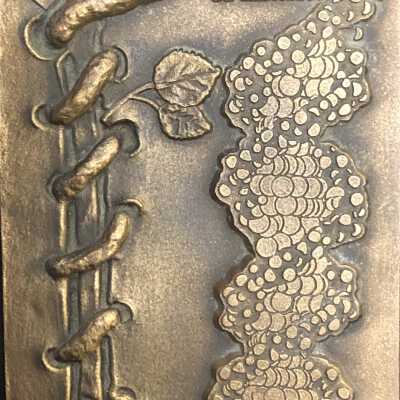 MEDALLION - Portuguese Medical Society