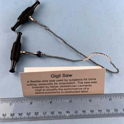 GIGLI SAW