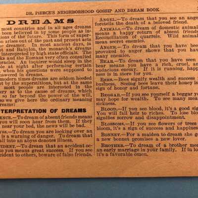 JV8 - Ads for patent meds-IMG_1429