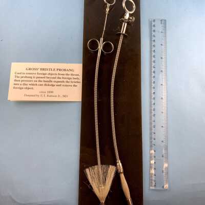 GROSS' BRISTLE PROBANG