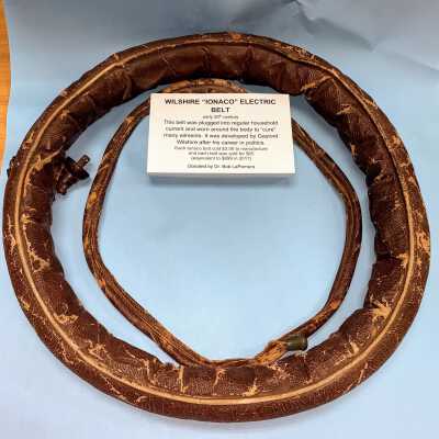 Wilshire Electric Belt