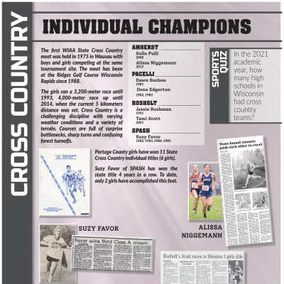High school cross country individual champions