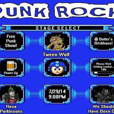 Tween Wolf, Rosa Parkinsons, We Should Have Been DJs