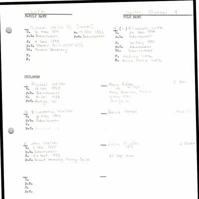 Elizabeth Lutz history