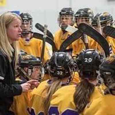 Hockey bench
