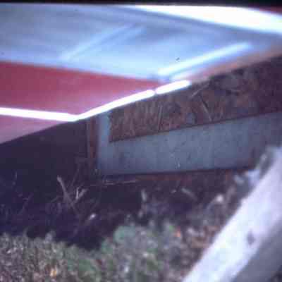 February 1983