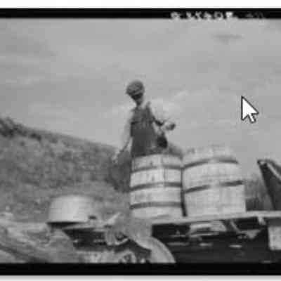 FSA Photograph