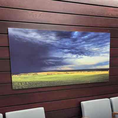 Field with Dark Clouds