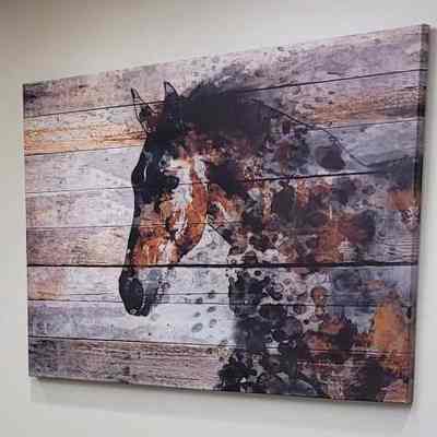 Horse