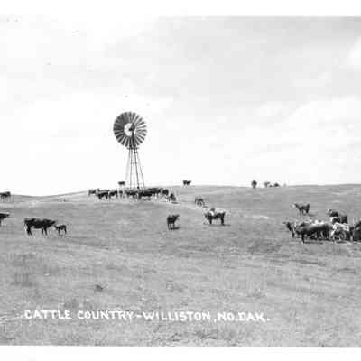 Postcard 82 Back