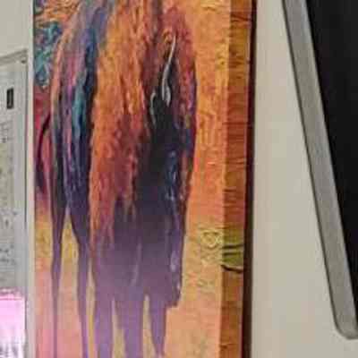 Bison
