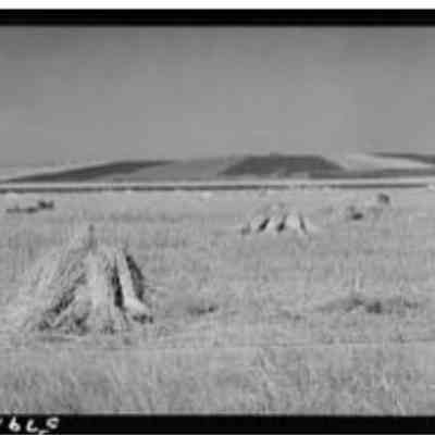 FSA Photograph