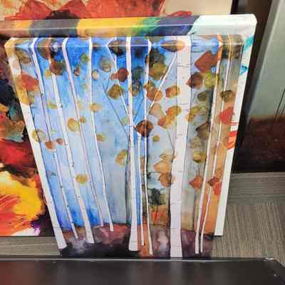 Birch Trees