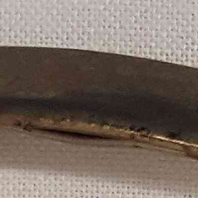 2016.11.61 (Image 2): Copyright: The Salvation Army Central Territory Historical Museum; Origsize: .375" x 1" x .25"; Origformat: Artifact