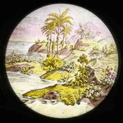 "[______________] fruit trees."