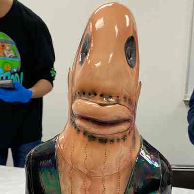 Fish Tuxedo