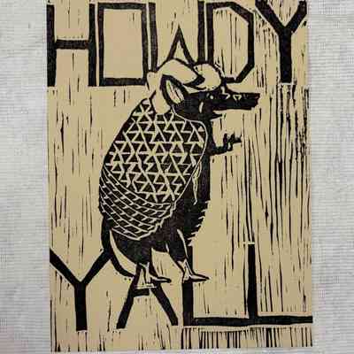 Friendly Armadillo