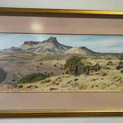 Cathedral Mountain Vista