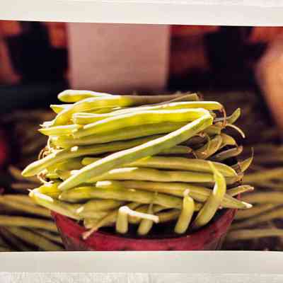 Untitled (String Beans)