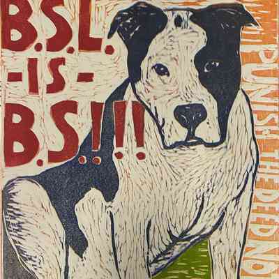 Punish the Deed, Not the Breed