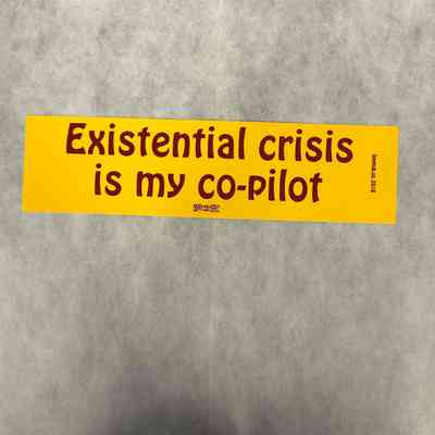 Existential Crisis is My Co-Pilot