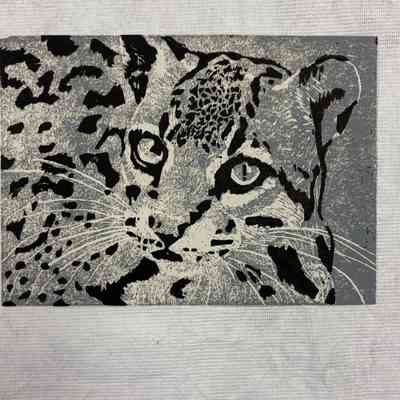 Ocelot