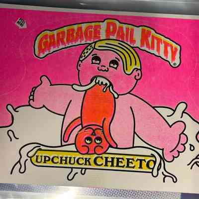 Garbage Pail Kitty