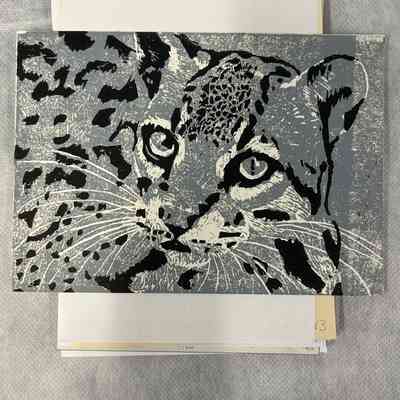 Ocelot