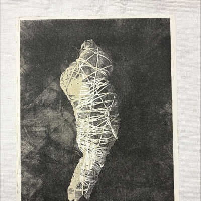 A Bird, A Body