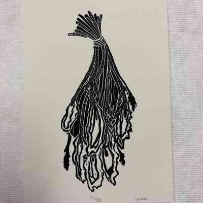 Untitled/Unknown