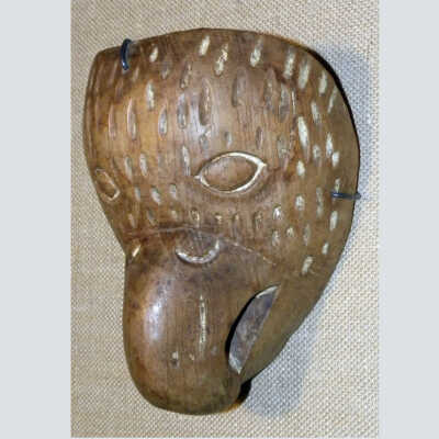 Guacamaya (Macaw) Mask
