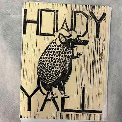 Friendly Armadillo