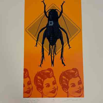 Caution/Left Turn- Lucky Cricket