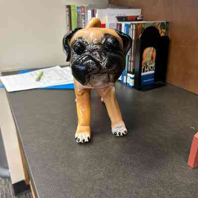CeCe the Pug