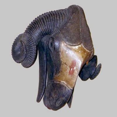 Ram Mask