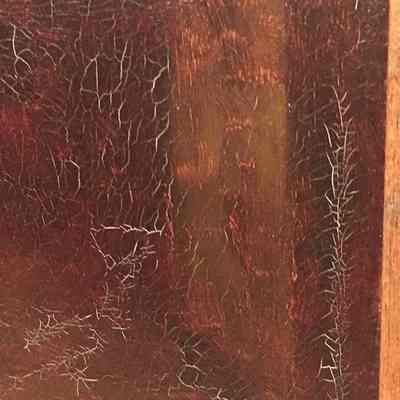 detail of craquelure pattern